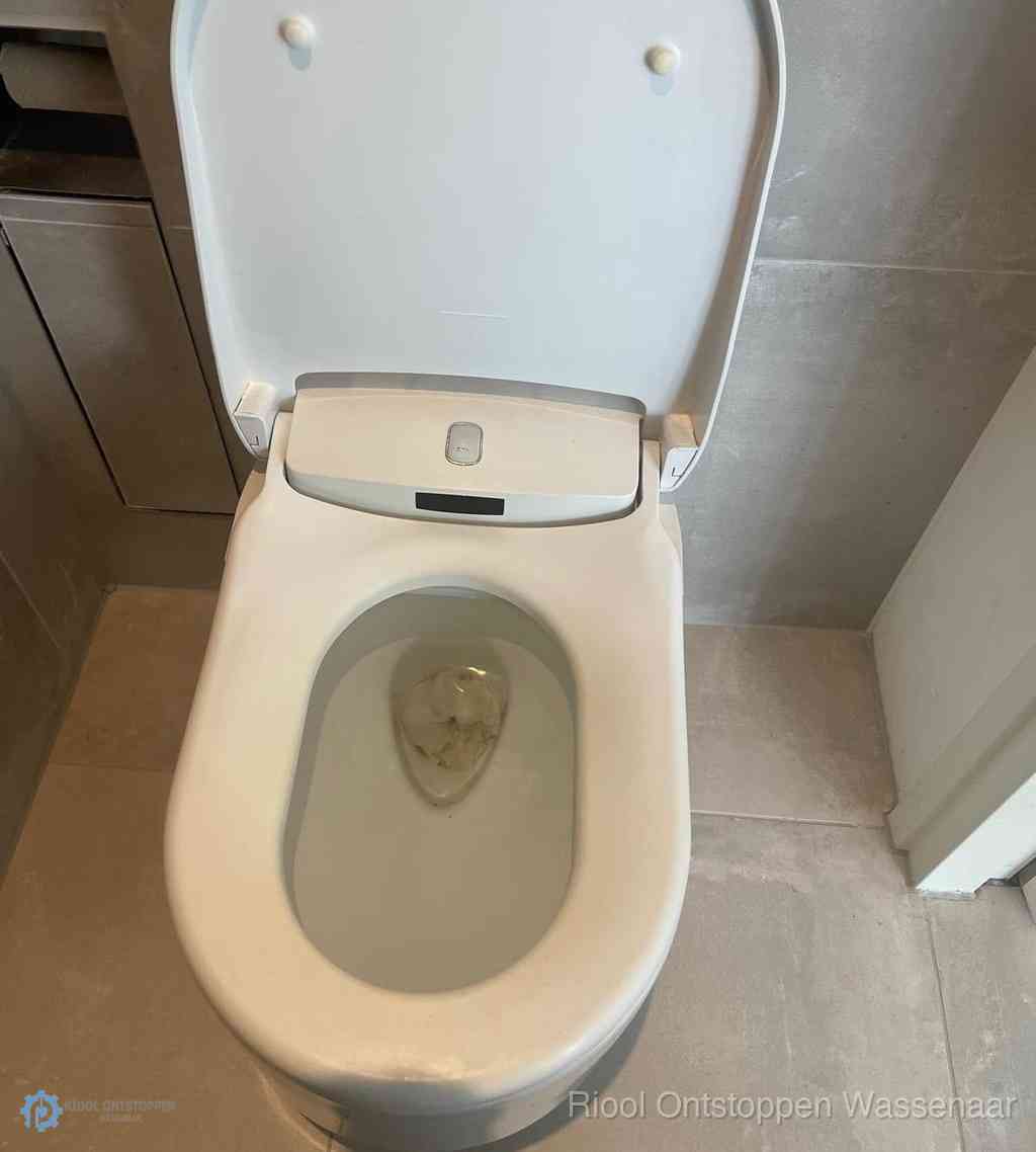 Toilet Ontstoppen Wassenaar